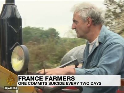 Suicide risk rife among France's farmers