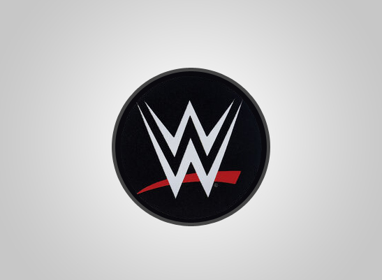 WWE CHANNEL 