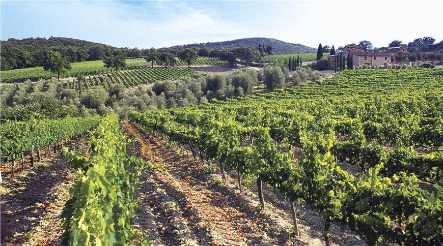 47th edition of Vinitaly in Verona, Italy,  from April 7 to 10, 2013.