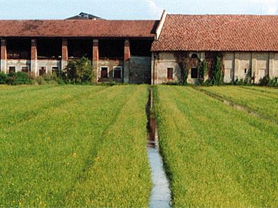 Agricoltura Milano Festival – 1 edizione