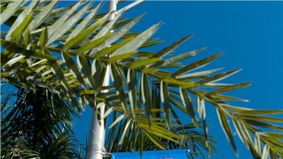 Art Basel in Miami Beach succeeds again with a stellar display of works and extensive programming across the city 