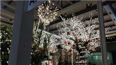 AT HOMI, LIFE IS ABOUT EXPERIMENTING WITH DIFFERENT STYLES 