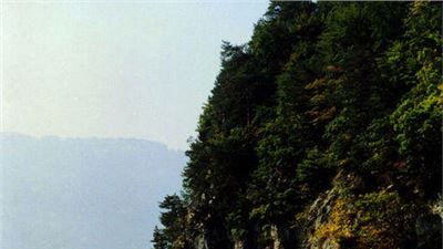 BELLEZA DE LA NATURALEZA