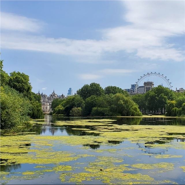 Cultural Rebirth in the AI Era: Fusion of Tech, Tradition, and Global Connectivity