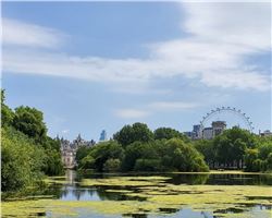 Cultural Rebirth in the AI Era: Fusion of Tech, Tradition, and Global Connectivity