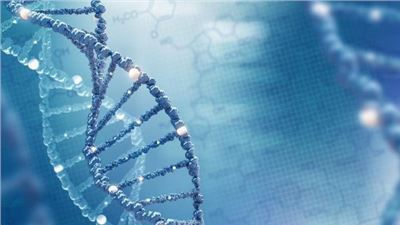 Curing Blindness is Just the Beginning. A new article by Newt Gingrich.