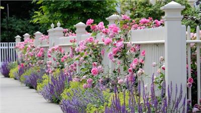 Decoremos nuestra casa con plantas naturales