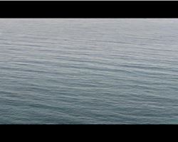 Eighth Continent is a short film by Yorgos Zois - special screening in section Orizzonti.