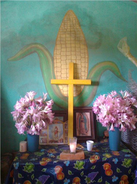 ETNOECOLOGÍA, CAMPO DE ESTUDIO EN CIERNES EN MÉXICO