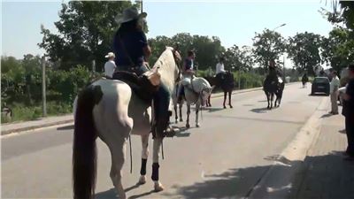 Festa del Cavallo di Succivo 