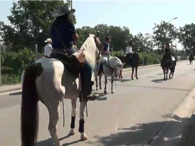 Festa del Cavallo di Succivo 