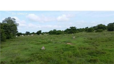 Finca, Lote terreno en venta en Colombia. 