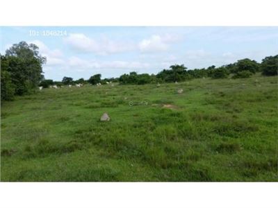 Finca, Lote terreno en venta en Colombia. 