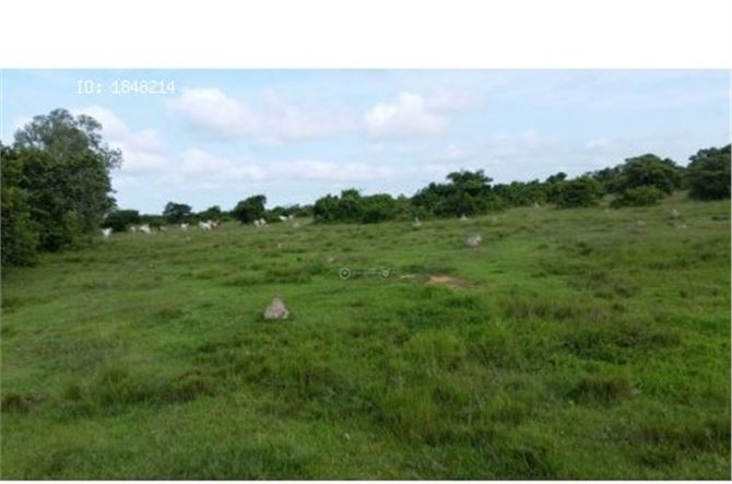 Finca, Lote terreno en venta en Colombia. 