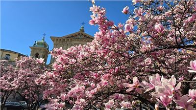 From Conflict to Community: Stories of Peacebuilding Around the Globe