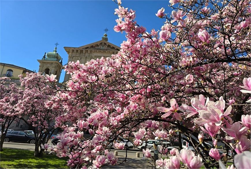 From Conflict to Community: Stories of Peacebuilding Around the Globe