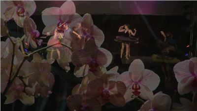 GardenMusic 2014 at the Fairchild Garden in Miami!