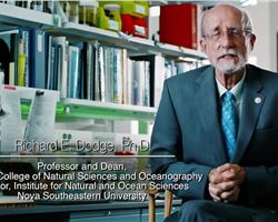 Halmos College of Arts and Sciences and the Guy Harvey Oceanographic Research Center are investigating sharks, coral reefs and deep sea marine life.