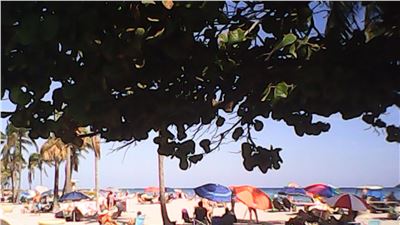 hollywood beach photo