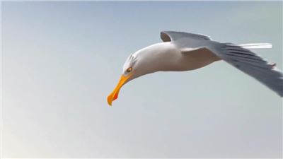 Il sorriso del giorno - Buone Feste