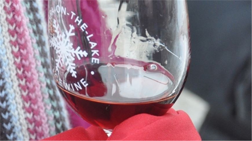 International wines, beers and spirits give attendees new options at Niagara Food & Wine Expo 2014