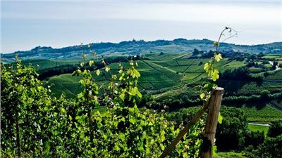  “Io, Barolo” grandissima partecipazione a Roddi 2013 