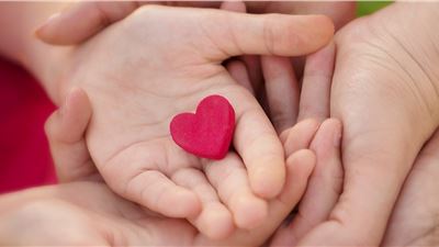 Joe DiMaggio Children's Hospital Foundation … More Lives Begin Here... More Lives Saved Here. 