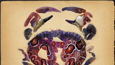 La “street art”  di Hitnes arriva al Museo di Zoologia di Roma