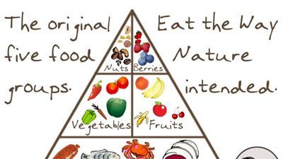 LA VERA PIRAMIDE ALIMENTARE, LA PALEODIETA