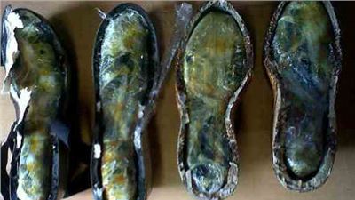 LOCALIZA POLICÍA FEDERAL CUATRO PAQUETES DE HEROÍNA TRANSPORTADA EN LAS SUELAS DE ZAPATOS