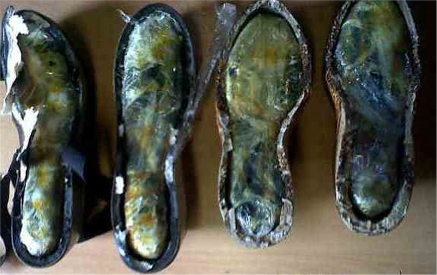 LOCALIZA POLICÍA FEDERAL CUATRO PAQUETES DE HEROÍNA TRANSPORTADA EN LAS SUELAS DE ZAPATOS