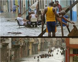 "Los Cubanos jugando ....."