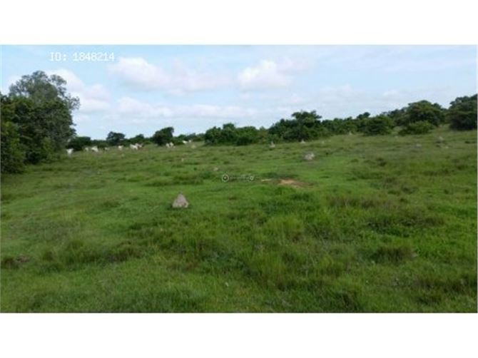 Lote, terreno, en venta en Colombia. Tamalameque, Cesar