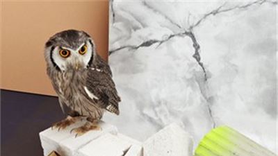 Miart : 148 international art galleries in Milan