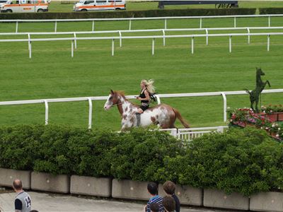 Milano Horse Show 2012 -  Barbara Carminati in arte "Zebrablond"