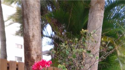 Morning walk in the nature