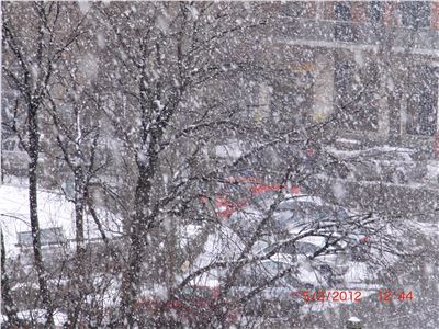 Neve a Milano, 5 Febbraio 2012