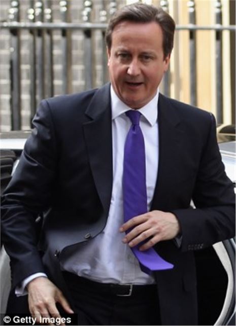 Olympic ring of steel: SIX missile sites protect Games... and Cameron has his finger on the trigger