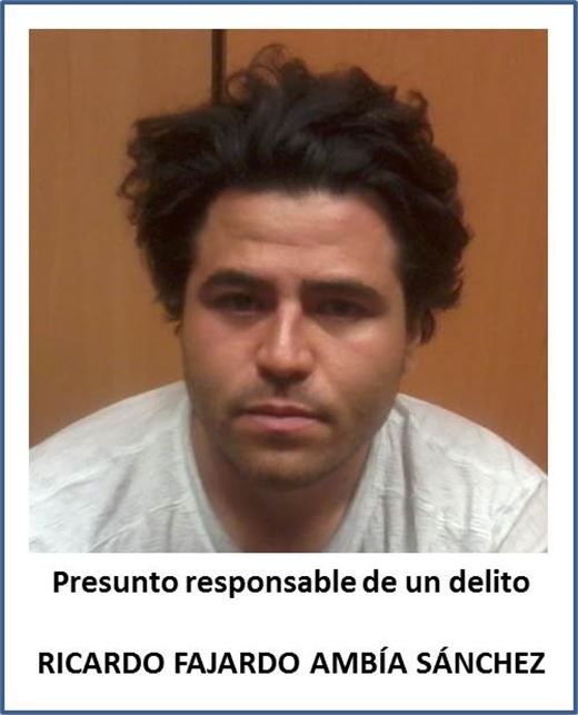 POLICÍA FEDERAL ESCLARECE HOMICIDIO EN LA AUTOPISTA DEL SOL Y DETIENE A PRESUNTO RESPONSABLE