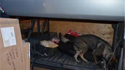 POLICÍA FEDERAL EVITA LA DISTRIBUCIÓN DE MÁS DE 150 MIL CIGARROS ILEGALES Y ASEGURA MÁS DE 10 KILOS DE CRYSTAL EN CHIHUAHUA