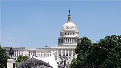 Renaissance Evolution