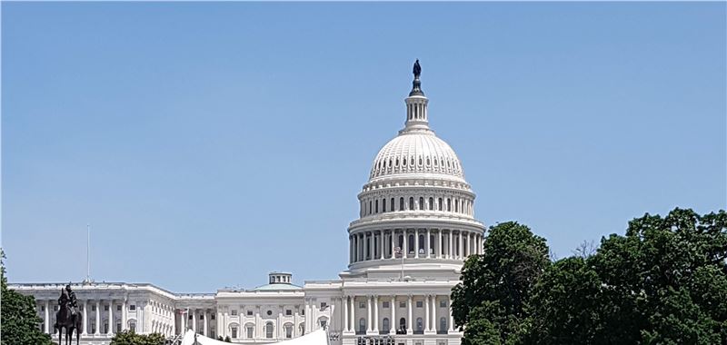 Renaissance Evolution