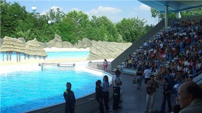 Stop agli spettacoli acquatici a Gardaland