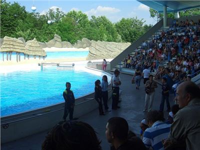 Stop agli spettacoli acquatici a Gardaland