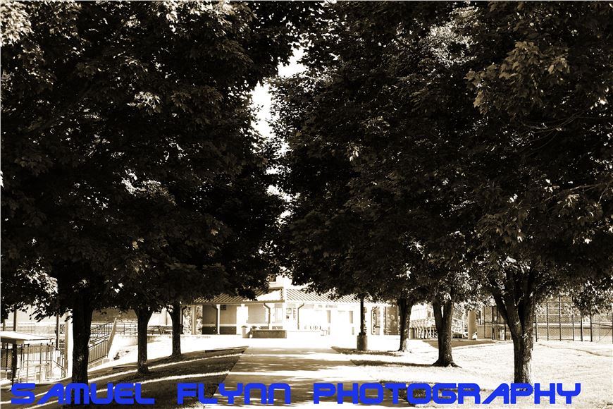 The Difference Between a Success Coach and Counselor 