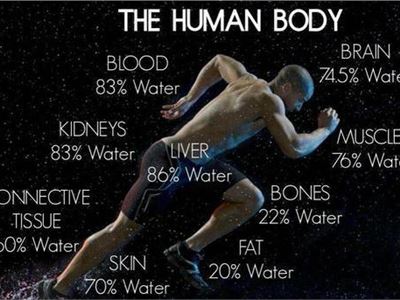 The importance of drinking water 