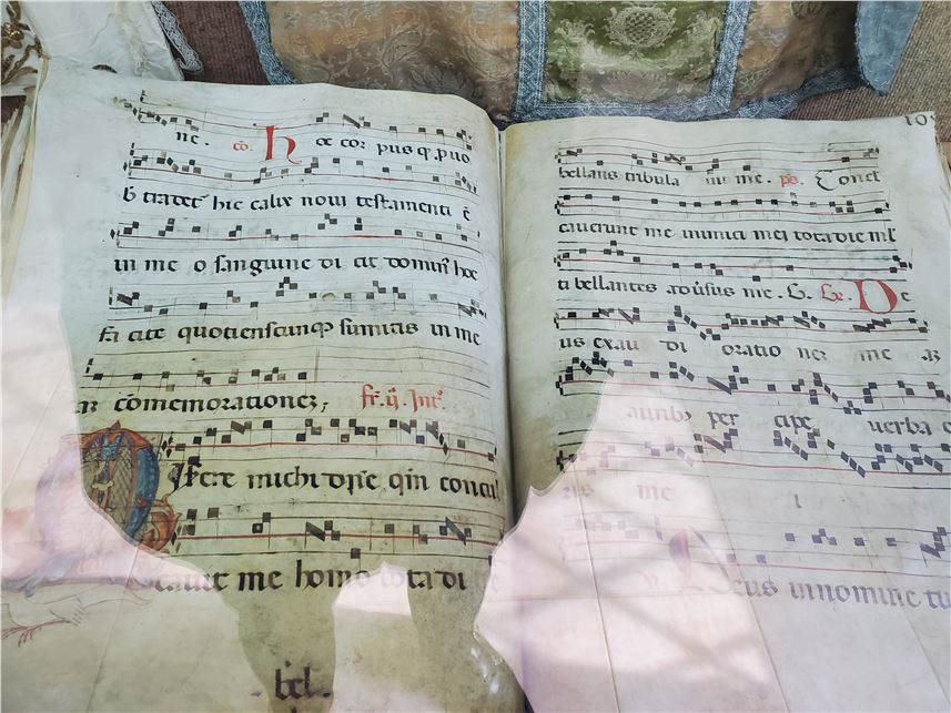 The Italian Legacy in Education: Montessori, Quality, and Mastery