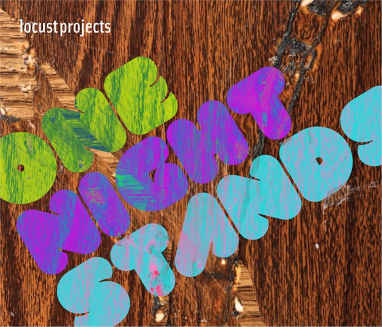 The Locust Projects, a not-for-profit exhibition space, is  celebrating its 15 years! 