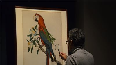 Últimos días  VISIONES DE LA INDIA, ADMIRADA POR MÁS DE 100 MIL VISITANTES