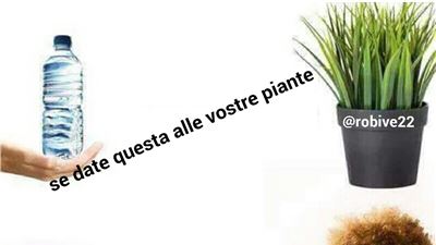 una buena alimentacion